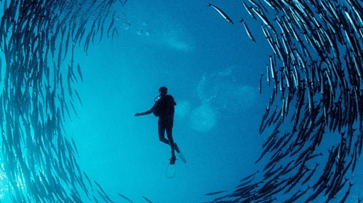 Rolex Submariner resistente debajo agua